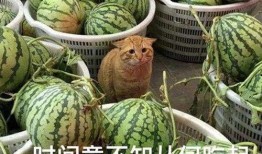 最新的吃瓜爆料,神秘事件背后真相大揭秘！